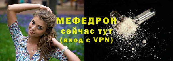 крисы Кулебаки
