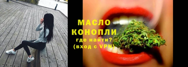 крисы Кулебаки