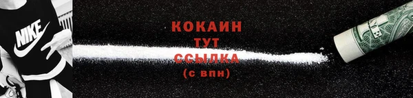 крисы Кулебаки