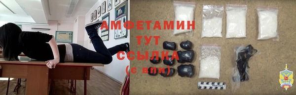 крисы Кулебаки
