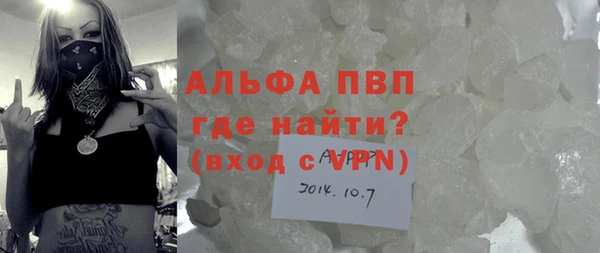 крисы Кулебаки
