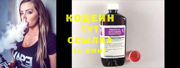 крисы Кулебаки