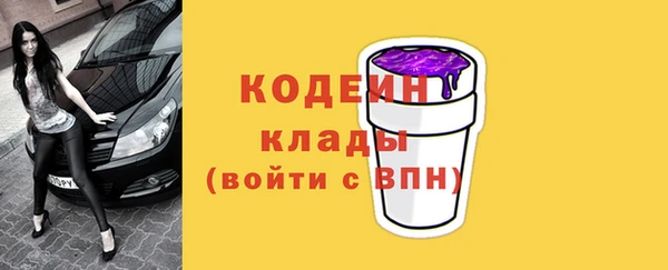 крисы Кулебаки