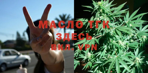 крисы Кулебаки