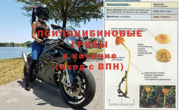 крисы Кулебаки