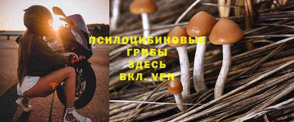 гидра Кукмор