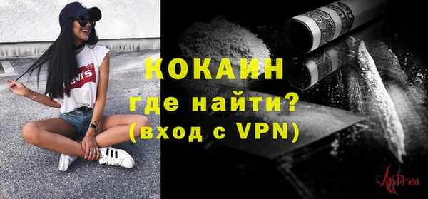 крисы Кулебаки