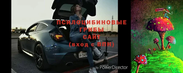 гидра Кукмор