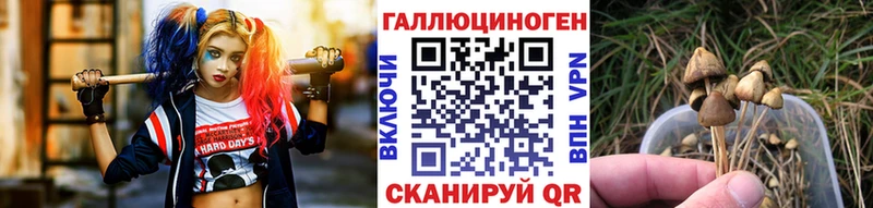 магазин продажи   сайты даркнета формула  Псилоцибиновые грибы мухоморы  Стрежевой 